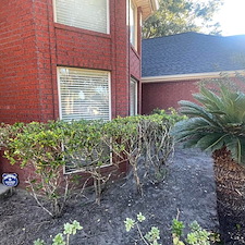 Fresh Mulch and Landscape Update in Waxahachie, TX 3